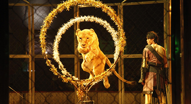 顶尖杂艺魔幻明星嘉年华